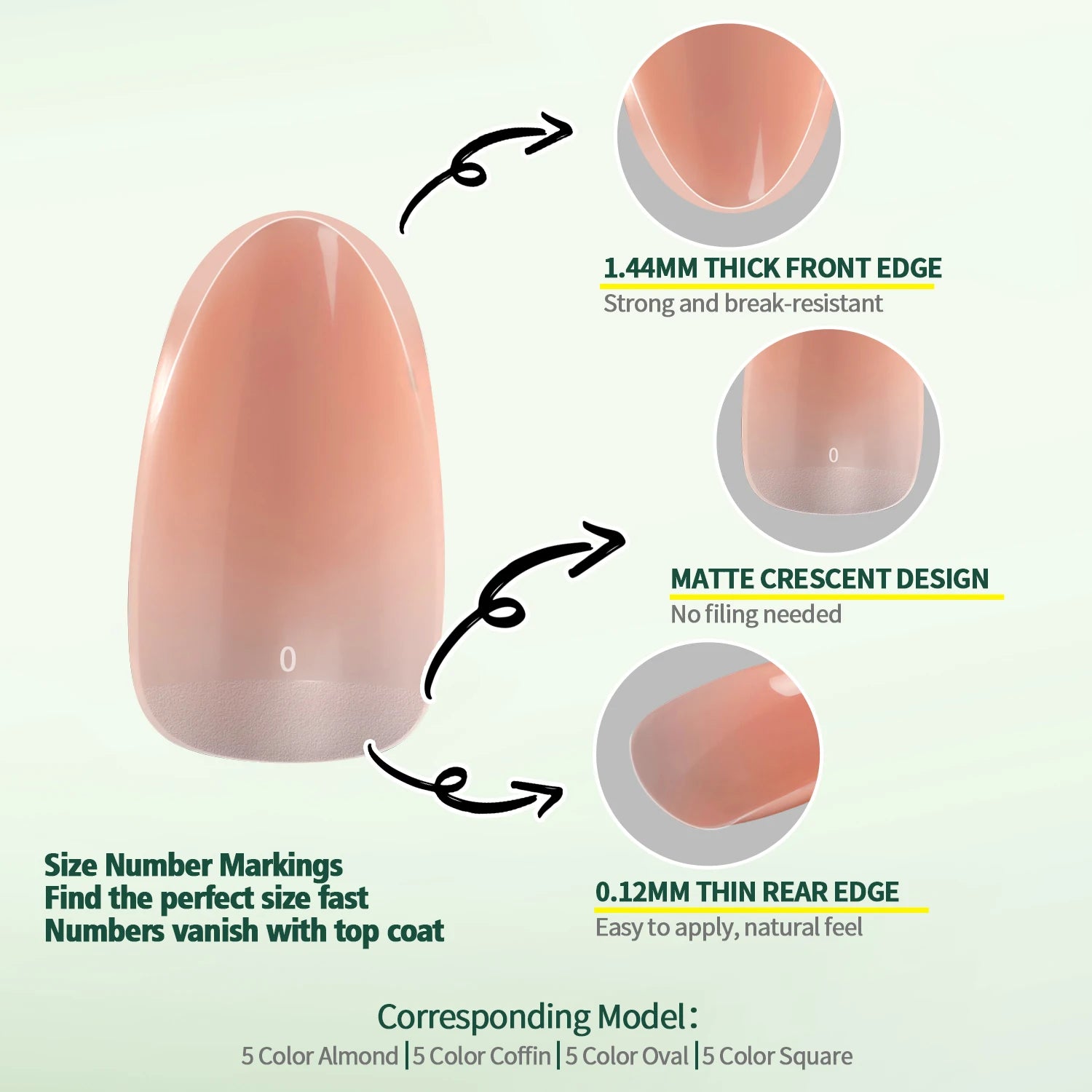 Nail tip with features highlighted on a light green background