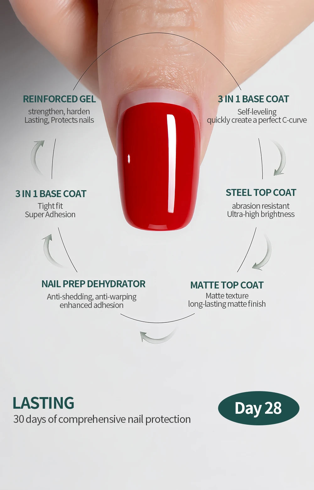 Nail polish application process with labeled steps on a neutral background